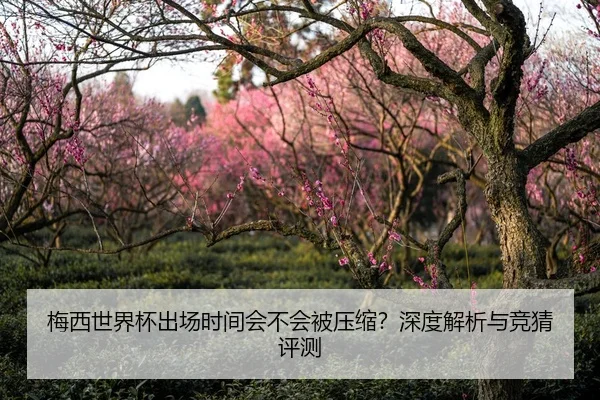 梅西世界杯出场时间会不会被压缩？深度解析与竞猜评测